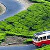 Affordable Alleppey Tour Packages