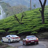 Ooty tour packages