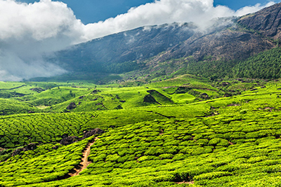 Athirapilly tour packages