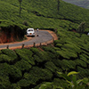 Munnar tour packages