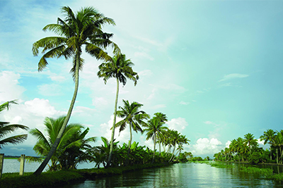 Backwater Tourism Packages