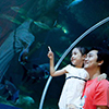 Pattaya tour packages