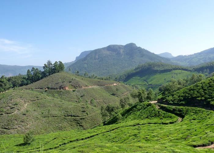 Best Places to Visit in Munnar | Top 10 Best Places to Visit in Munnar